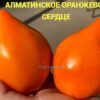 АЛМАТИНСКОЕ ОРАНЖЕВОЕ СЕРДЦЕ 13868