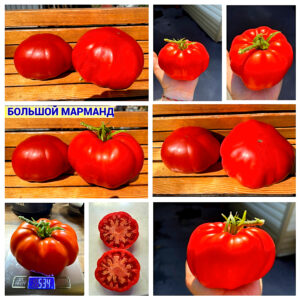 БОЛЬШОЙ МАРМАНД