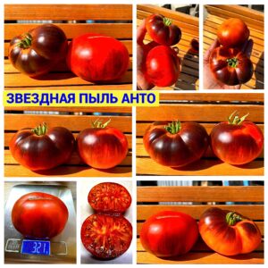 ЗВЕЗДНАЯ ПЫЛЬ АНТО