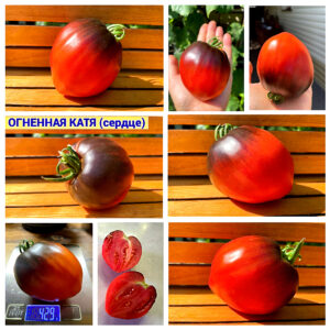 ОГНЕННАЯ КАТЯ (сердце)