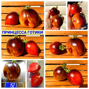 ПРИНЦЕССА ГОТИКИ