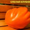 СПЕЛАЯ КЛУБНИКА 12245