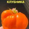 СПЕЛАЯ КЛУБНИКА 12246