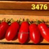 3476 ZUZI 14100