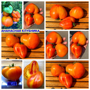 АНАНАСНАЯ КЛУБНИКА