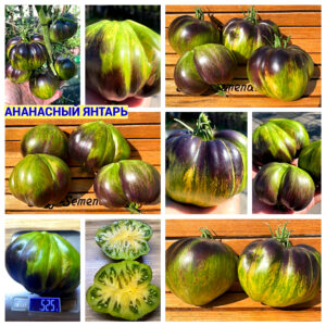 АНАНАСНЫЙ ЯНТАРЬ