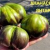 АНАНАСНЫЙ ЯНТАРЬ 13946