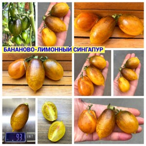 БАНАНОВО-ЛИМОННЫЙ СИНГАПУР