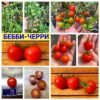 БЕББИ-ЧЕРРИ