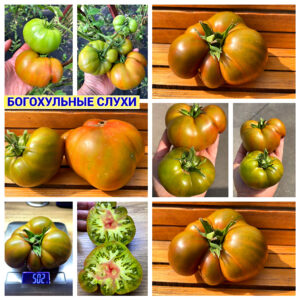 БОГОХУЛЬНЫЕ СЛУХИ