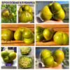 БРОНЗОВАЯ КЛУБНИКА