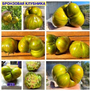 БРОНЗОВАЯ КЛУБНИКА