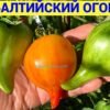 БАЛТИЙСКИЙ ОГОНЕК 14218