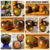 Все краски мира