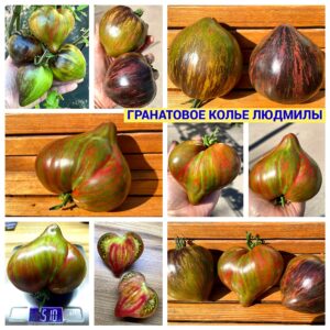 ГРАНАТОВОЕ КОЛЬЕ ЛЮДМИЛЫ