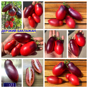 ДЕРЗКИЙ БАКЛАЖАН