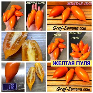 ЖЕЛТАЯ ПУЛЯ