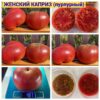 ЖЕНСКИЙ КАПРИЗ БИКОЛОР 14124