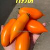 ЖЕЛТАЯ ПУЛЯ 13825