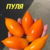 ЖЕЛТАЯ ПУЛЯ 13826