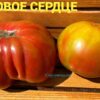 КЛЕНОВОЕ СЕРДЦЕ 14016