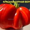 КРАСНАЯ ГОРНАЯ ВЕРШИНА 14042