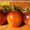 ЛЮБУШКА 13951