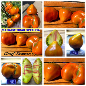 МАЛАХИТОВАЯ ОРГАНЗА