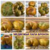 МЕДВЕЖЬЯ ЛАПА БРОНЗА 13859