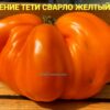 НАСЛАЖДЕНИЕ ТЕТИ СВАРЛО ЖЕЛТЫЙ 14022