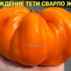 НАСЛАЖДЕНИЕ ТЕТИ СВАРЛО ЖЕЛТЫЙ 14024