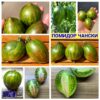 ПОМИДОР ЧАНСКИ