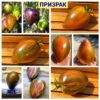 ПРИЗРАК