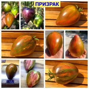 ПРИЗРАК