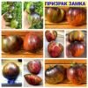 ПРИЗРАК ЗАМКА