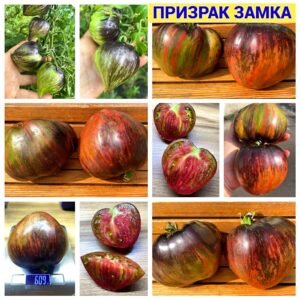 ПРИЗРАК ЗАМКА
