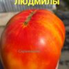 ПЕРСИК ЛЮДМИЛЫ 13971
