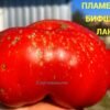 ПЛАМЕННЫЙ БИФШТЕКС ЛАНЫ 14669