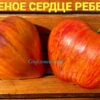 РАНЕНОЕ СЕРДЦЕ РЕБЕЛЛЫ 14030