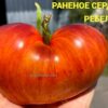 РАНЕНОЕ СЕРДЦЕ РЕБЕЛЛЫ 14032