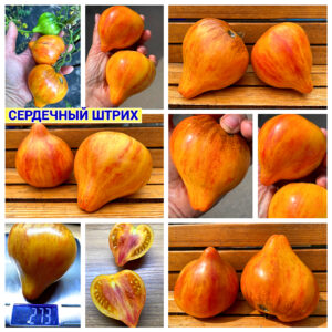 СЕРДЕЧНЫЙ ШТРИХ