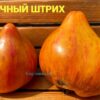 СЕРДЕЧНЫЙ ШТРИХ 14011