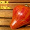 СЕРДЦЕ РЕБЕЛЛЫ 13940