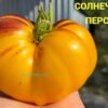 СОЛНЕЧНЫЙ ПЕРСИК ЛЮДМИЛЫ 13964