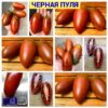 ЧЕРНАЯ ПУЛЯ
