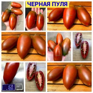 ЧЕРНАЯ ПУЛЯ