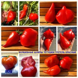 ВОЛШЕБНЫЕ ШЛЯПЫ ТЕТУШКИ ГРЕТЕЛЬ КРАСНЫЕ