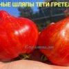 ВОЛШЕБНЫЕ ШЛЯПЫ ТЕТИ ГРЕТЕЛЬ ЗЕБРА 14420