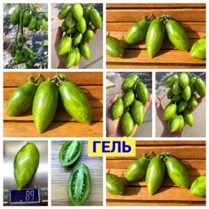 ГЕЛЬ