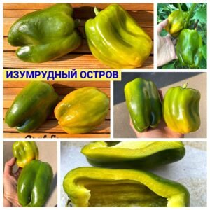 ИЗУМРУДНЫЙ ОСТРОВ